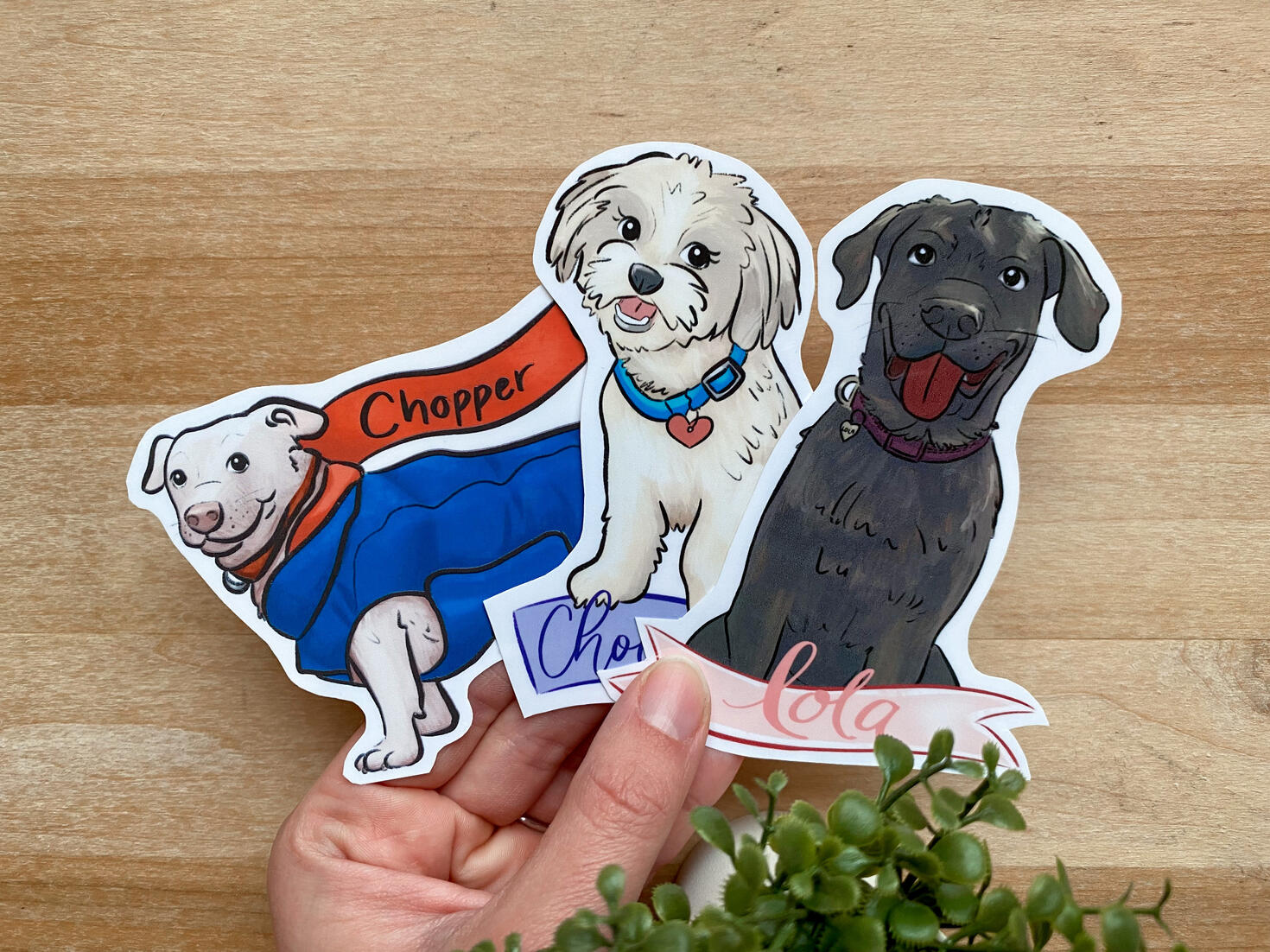Custom Pet Stickers